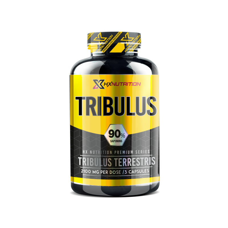 Tribulus 90% Saponines (1000mg/90Caps) HX Premium
