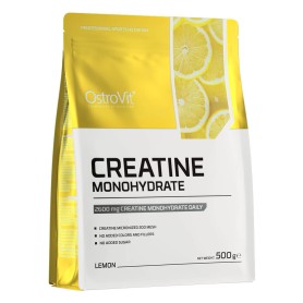Creatine Monohydrate 300g - OstroVit Nutrition