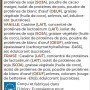 Protein Delight - Hautement protéinée - BMXX  Nutrition