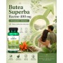 Butea Superba Racine 400mg 60 caps Swanson
